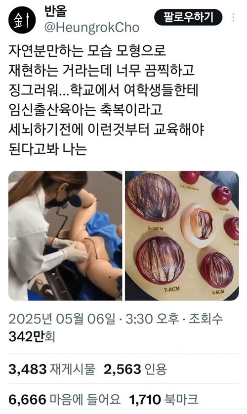 혐오를 퍼뜨리는 페미들