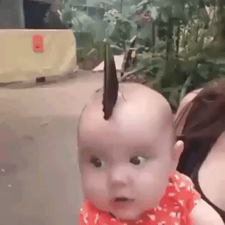 욘두 ㅋㅋ