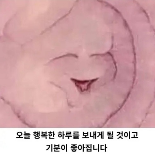 행복한 양파