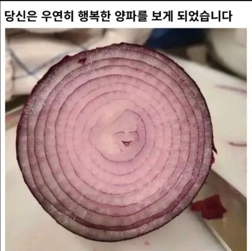행복한 양파