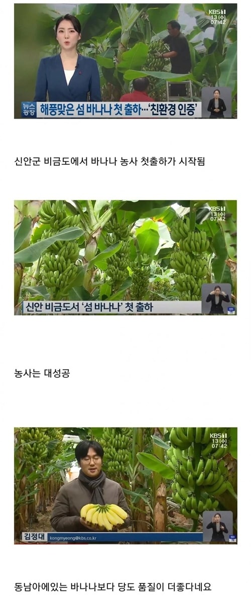 이제 바나나 노예만 구하면 되겠네