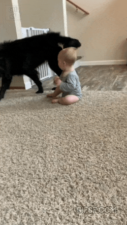 20250529060038_7255.gif