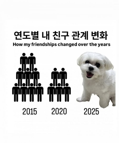 친구관계 변화
