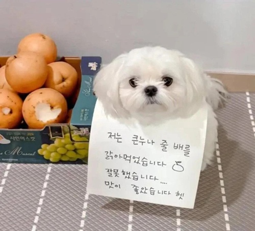 제대로 검증된 홍보