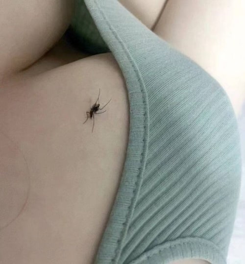 모기 봐라