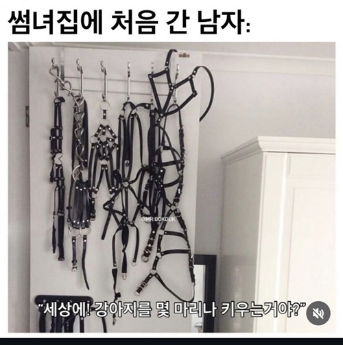 강아지많이 키우는 썸녀