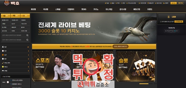 백호 먹튀사이트 확정