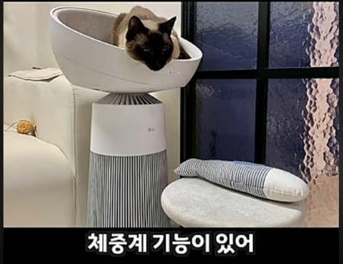 공기청정기 + 캣타워 가격 110만원