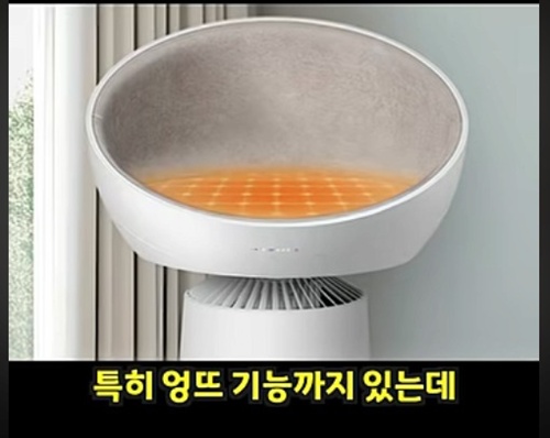 공기청정기 + 캣타워 가격 110만원