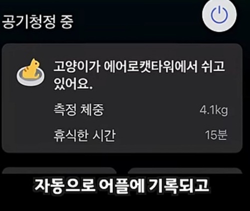 공기청정기 + 캣타워 가격 110만원
