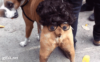 재슥이 닮았네