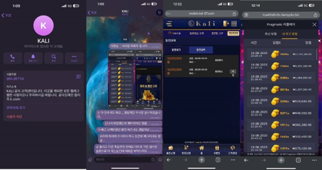 칼리 먹튀사이트 확정