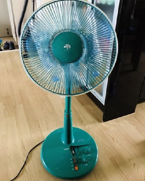 와 골드스타
