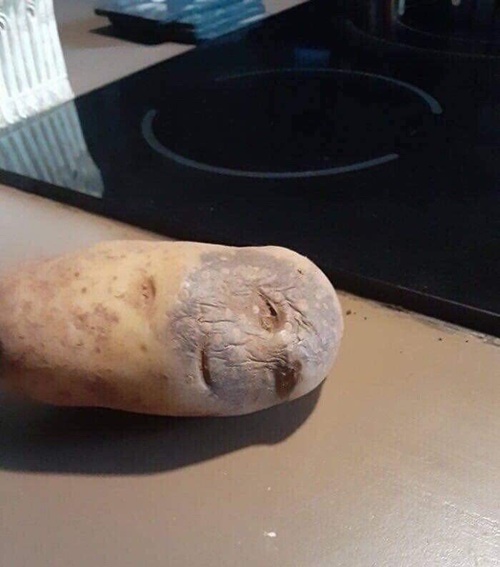 피곤한 라바처럼 생겼네