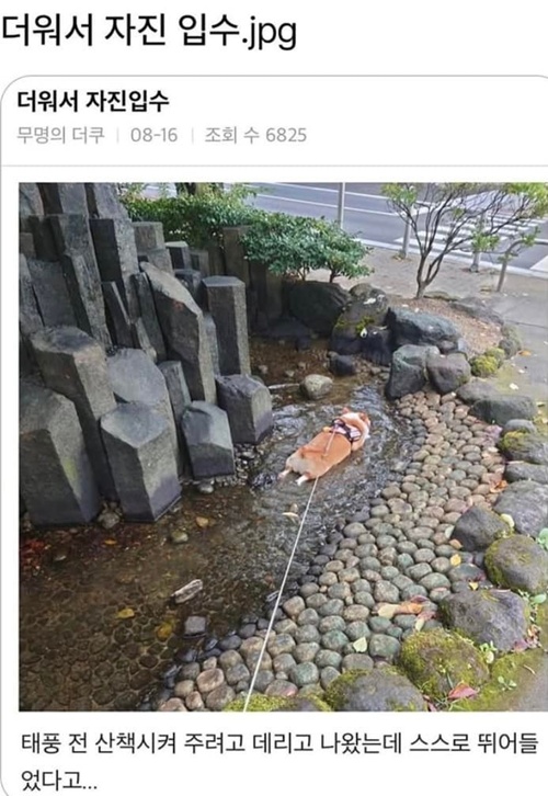 급하게 뛰가더니 ㅎ