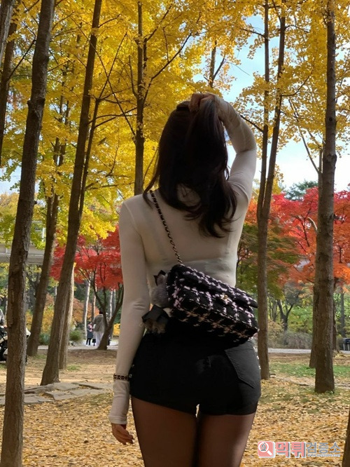 진짜 내스탈 진짜 내스탈