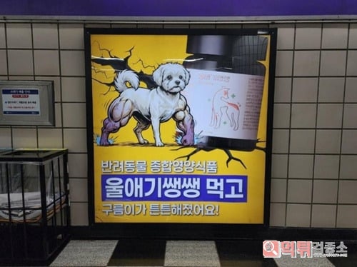 함부로 먹이면 큰일남 ㅋㅋ 함부로 먹이면 큰일남 ㅋㅋ