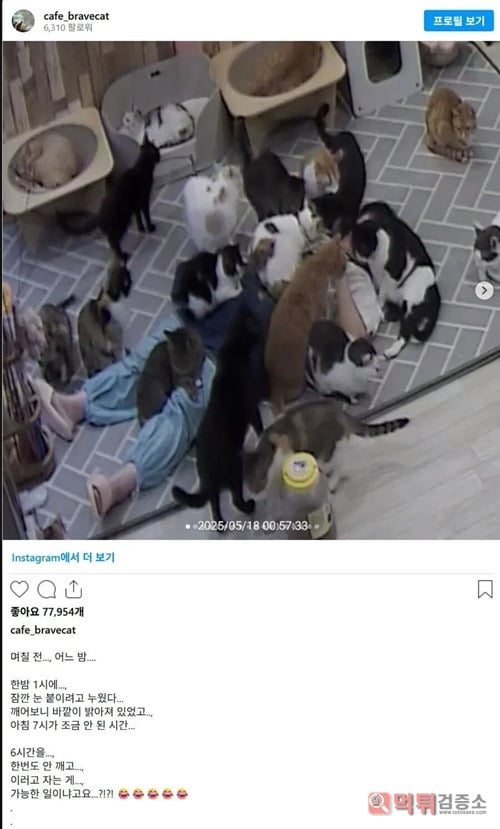 악몽을 꾸긴 했겠네