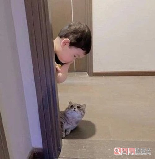 퇴근했더니