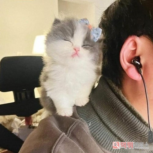 무슨 인형같네요