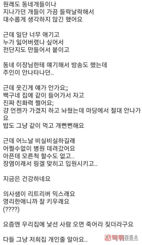 우리집에 모르는 개가