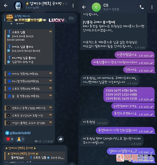 블라썸벳 백호실장 주의 사기꾼