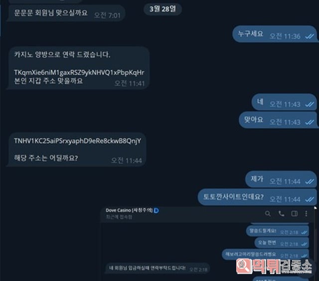 파크 먹튀제보