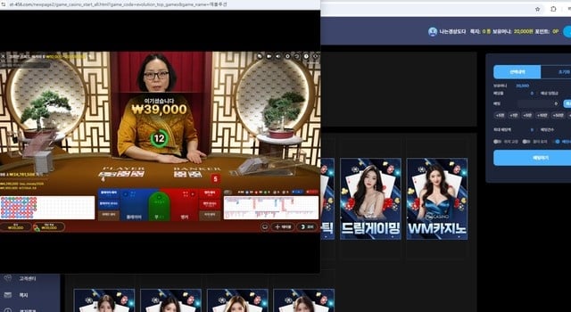 스토리 먹튀사이트 확정