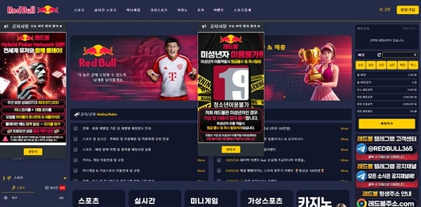 레드불 레드불