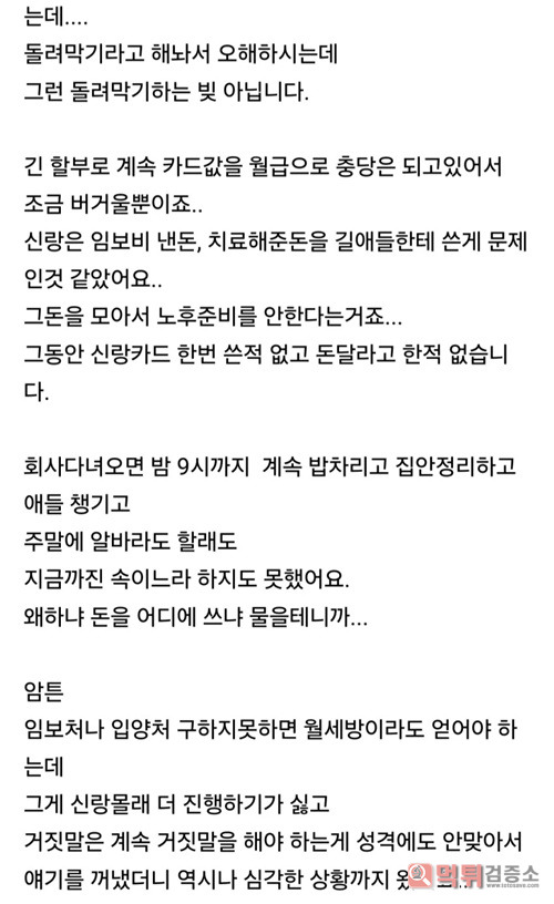 이혼 위기의 캣맘