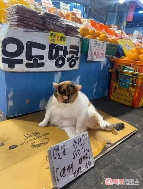열일하네 열일하네
