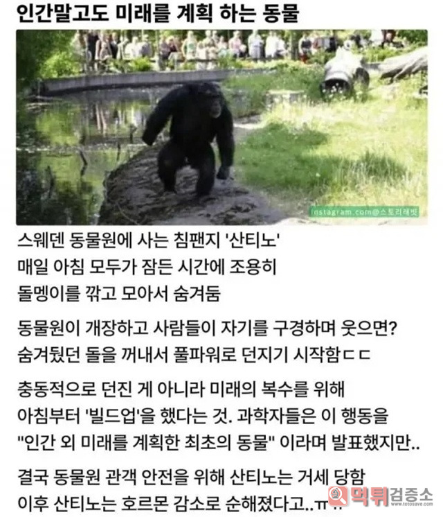 아,,ㄱㅈ라니 아,,ㄱㅈ라니