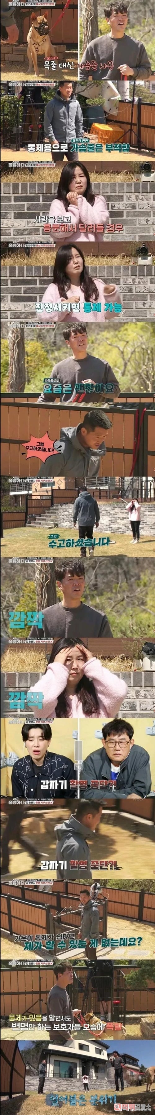 ㅋㅋ 주인꼬라지