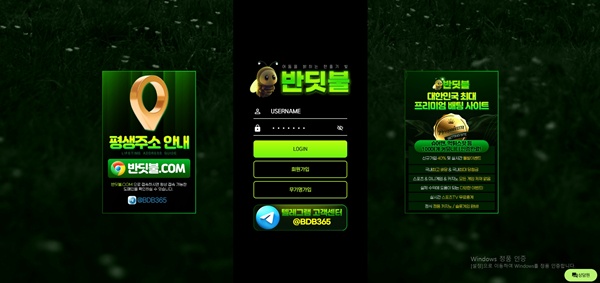 반딧불 반딧불